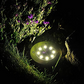 PrimeGlow™ - Solar Garden Lights