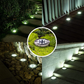 PrimeGlow™ - Solar Garden Lights