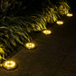 PrimeGlow™ - Solar Garden Lights